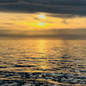 Meet your Posher, Karissa